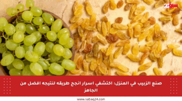 صنع الزبيب في المنزل: اكتشفي أسرار أنجح طريقة لنتيجة أفضل من الجاهز